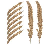 CORHAD Friandises de Millet Séché pour Perruches et Perroquets, Épis Naturels 500G, Collation Nutritive Riche en Vitamines, pour L’Alimentation Quotidienne et L’Entraînement des Oiseaux