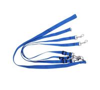 CORHAD Laisse pour Chien Amovible à Traction Et Portable Une Laisse De Sécurité pour Promenades avec Animaux De Compagnie Convient à Toutes