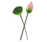 CORHAD Lot de 2 Set de Décorations de Bourgeons et Gousses de Lotus Artificiels en PU Petit Format Vert Naturel Simulation Réaliste pour Décoration D’Intérieur Jardin Étang et Fêtes