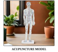 CORHAD Modèle Corporel d'Acupuncture Masculin Blanc Mannequin des Points d'Acupuncture et Méridiens Outil Pédagogique pour Formation en Médecine Traditionnelle Chinoise Modèle de