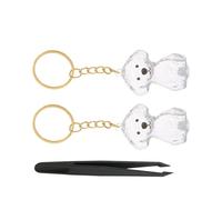 CORHAD Porte-clés Mémorial Poils de Chien Transparent Boîte Cœur Porte-souvenirs Portable pour Poils Animaux Accessoire Élégant pour Garder Mémoire Votre Compagnon Fidèle