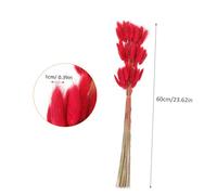 CORHAD Queues de Lapin Séchées Naturelles 60 Tiges Bouquet Rouge Foncé, Décoration Intérieure DIY, Herbe Séchée pour Mariage, Salon et Composition de Fleur Bohème