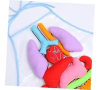 CORHAD Tablier Éducatif Transparent Organes Humains pour École Maternelle Aide Pédagogique Anatomie Corps Humain Modèle Organes Internes pour Apprentissage Précoce