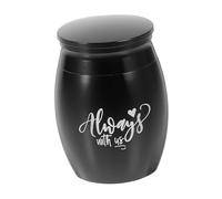 CORHAD Urne pour Cendres De Chien Pot à Cendres pour Crémation De Chien Cercueil Cinéraire pour Chat pour Os Animaux