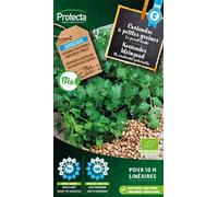 Coriandre à petits grains- Protecta Graines paysannes - Env. 3 gr | 644-Protecta