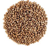 Coriandre Graine Qualité Bio Gastronomique-Graines De Coriander Pour Faire Monter Les Plats Graine De Coriandre Bio Graines De Coriandre Graines Coriandre Bio Coriandre Graine Coriandre Bio.[F19]