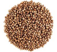Coriandre Graine Qualité Bio Gastronomique - Graines De Coriander Pour Faire Monter Les Plats Graine De Coriandre Bio Graines De Coriandre Graines Coriandre Bio Coriandre Graine Coriandre Bio