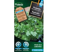 Coriandre - Protecta Graines paysannes - Env. 5 gr | 610-Protecta
