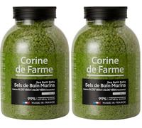 Corine de Farme - Sels de Bain Calm Aloe Vera - Sels Marins Aromatisés à l'Aloe Vera - Dissolution Rapide, Vertus Apaisantes et Hydratantes - Pour Salle de Bain ou Spa - Grand Bocal 1.3kg (Lot de 2)