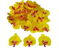 Corkwaw Lot de 50 pétales d'orchidées artificielles - Fleurs phalaenopsis en soie synthétique pour loisirs créatifs, maison, fête de mariage (jaune)