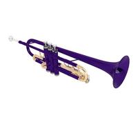 Corne de trompette professionnelle standard pour débutants avec étui de rangement pour étudiant en laiton pour débutant ou avancé