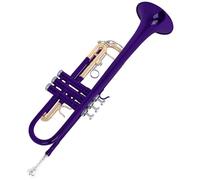 Corne de trompette standard professionnelle pour débutants avec étui de rangement pour groupe scolaire standard avec étui