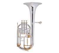 Corne Trompe L'Alto Instrument a Vent Cuivre Brass Embouchure Coffret Set