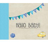 Cornelia Giebic Hallo Baby: Die schönsten Erinnerungen an dein erstes L (Relié)