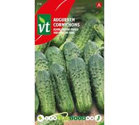 Cornichon Vert Petit de Paris - Graines de concombre à cornichon - Semences potager - Facile à cultiver au jardin ou en pot