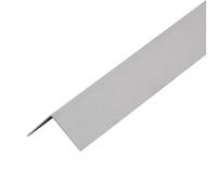 Cornière de protection d'angle V2A acier inoxydable finement poncé (H= 25 mm, L= 250 cm)