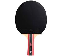 Cornilleau - Sport 300 - Raquette de ping Pong d'intérieur pour progresser - revêtement ITTF 2 étoiles