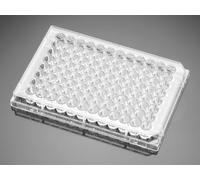 Corning Falcon 353075 Plaque 96 puits avec couvercle, cellule transparente à fond plat, culture traitée TC, stérile (lot de 50)