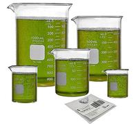 Corning Pyrex Griffin Low Form Corning Beaker Set (Set of 5)