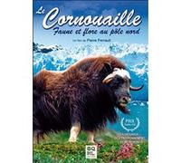 Cornouailles - Faune et flore au Pôle Nord E