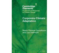 Corporate Climate Adaptation: Translating Complex Societal Risks into Business as Usual