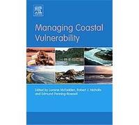 Corporate Crisis And Risk Management, International Business and Management Series