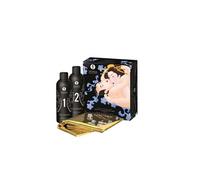 Shunga Erotic Massage Gel Exotic Fruits Pack