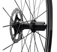 Ffwd Corps De Roue Libre Dt Ratchet Rotor Dt240 Exp Campa 12 Mm