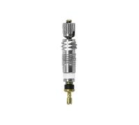 Corps de valve pour tubeless Newton P2R (x10) Argenté