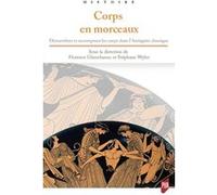 Corps en morceaux Florence Gherchanoc (Auteur), Stéphane Wyler (Auteur)