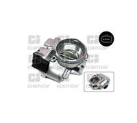 Corps papillon QUINTON HAZELL XPOT495