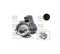 Corps papillon QUINTON HAZELL XPOT496