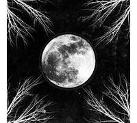 Corpus Christii – Pale Moon – CD