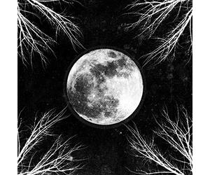 Corpus Christii - Pale Moon