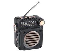 Correa Radio FM Radio Portable Mini Récepteur Radio FM AM SW Haut-Parleur Intégré Lecteur de Musique sans Bluetooth 5.0 avec Lampe de Poche LED