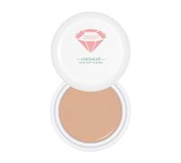 Correcteur À Couverture Totale Crème de Teint Couvrant 15g Visage | Primer Correcteur Hydratant Visage pour Bureau, Gym, , , Fête, Rassemblement, Vacances, Mariage,