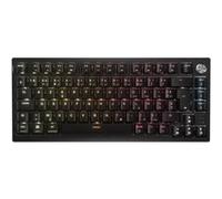 Nom : Gaming K65 Plus