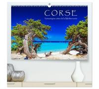 Corse - fantastiques côtes de la Méditerranée (Calendrier mural haut de gamme 2027 DIN A2 vertical), CALVENDO calendrier mensuel: Eté, soleil, plage et mer