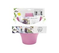Corsica Foret Vertical 24 Set/3 Violet Vif Violet