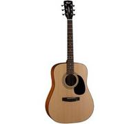 AD810 Open Pore guitare folk