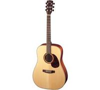 Cort Earth E100NS Naturel satiné Folk avec housse