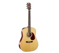CORT EARTH100 NS