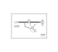 Corteco 19032982 Flexible de frein