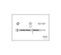 Corteco 19033522 Flexible de frein