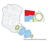 Corteco 19135933 Kit de bagues d'étanchéité, embrayage | Compatible avec: FIAT BRAVA, BRAVO I, MAREA, MAREA Weekend, MULTIPLA, LANCIA DEDRA, DEDRA SW, DELTA II, LYBRA, LYBRA SW