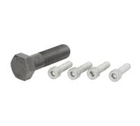 CORTECO Kit vis poulie de vilebrequin 80001246 Hella