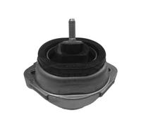 CORTECO Roulements Du Moteur de Boîte Vitesses Gauche Droite Pour BMW X5 E53