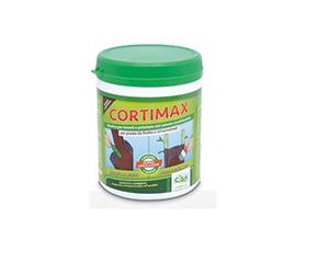 Cortimax Mastic pour greffes et élagage avec action cicatrisante pour plantes fruitées et ornementales, 500 g Cisa