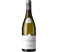 Corton Charlemagne Grand Cru 2023 - Rapet Père & Fils