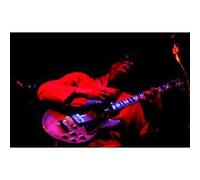 Coryell, Larry - at The Village Gate